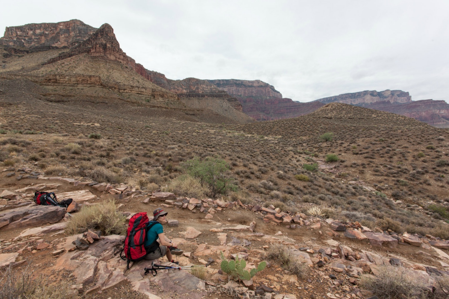 USA_Grand Canyon_105